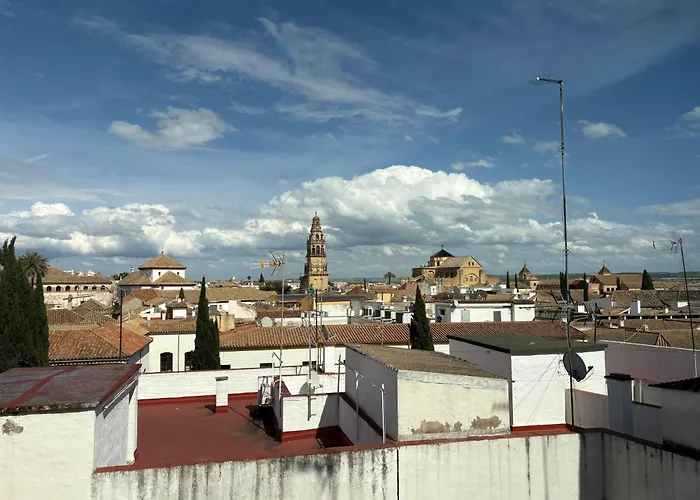 Atico De La Catedral Con Terraza Privada *