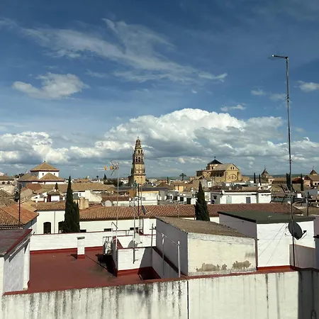 Atico De La Catedral Con Terraza Privada *